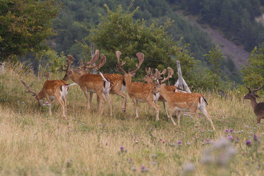 Fusoni,Balestroni e Palanconi: tutti insieme in relax